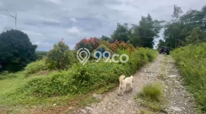 Tanah Kavling untuk Dijual di Jasinga Bogor 128000m2 Tanah Kavling untuk Dijual di Jasinga Bogor 128000m2