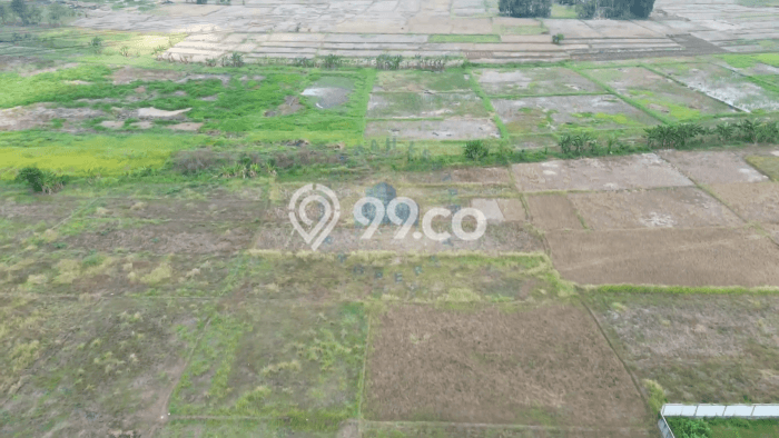 Jarang Ada! Tanah di Jayanti Punya Luas 2950m2 SHM Jarang Ada! Tanah di Jayanti Punya Luas 2950m2 SHM
