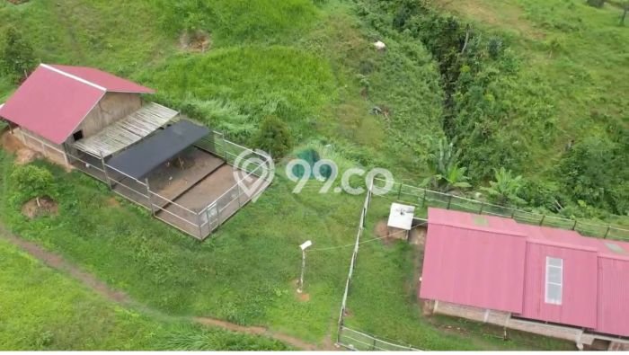 Tanah Kavling untuk Dijual di Jasinga Bogor 128000m2 Tanah Kavling untuk Dijual di Jasinga Bogor 128000m2