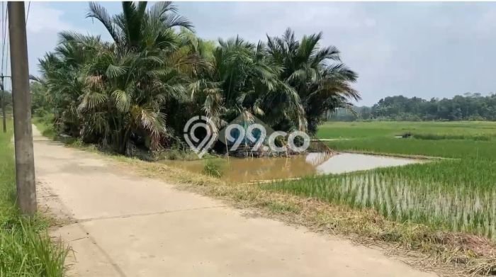 Tanah di Serang, Serang Luas 4790m2 Dijual Segera Tanah di Serang, Serang Luas 4790m2 Dijual Segera