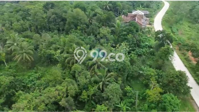 Jarang Ada! Tanah di Cileles Punya Luas 150000m2 SHM Jarang Ada! Tanah di Cileles Punya Luas 150000m2 SHM