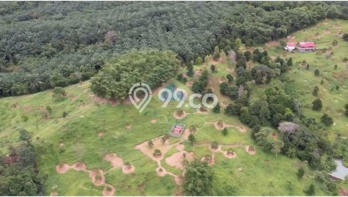 Tanah Kavling untuk Dijual di Jasinga Bogor 128000m2 Tanah Kavling untuk Dijual di Jasinga Bogor 128000m2