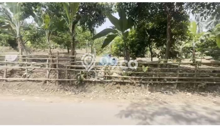 Tanah Kavling di Rangkasbitung Dijual dengan Luas 10000m2 Tanah Kavling di Rangkasbitung Dijual dengan Luas 10000m2