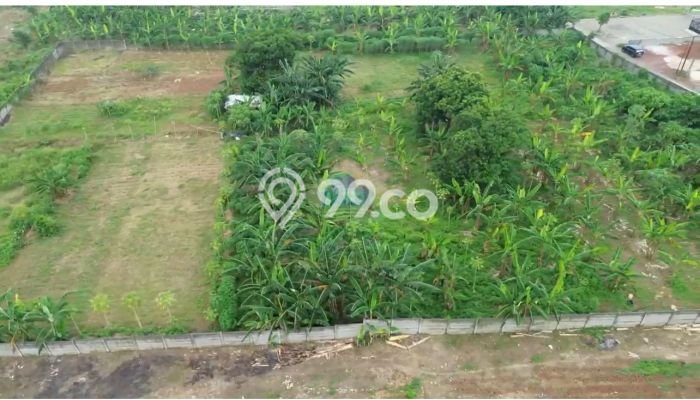 Disewakan Segera Tanah di Panongan Luas 8000m2 Area Potensial Disewakan Segera Tanah di Panongan Luas 8000m2 Area Potensial