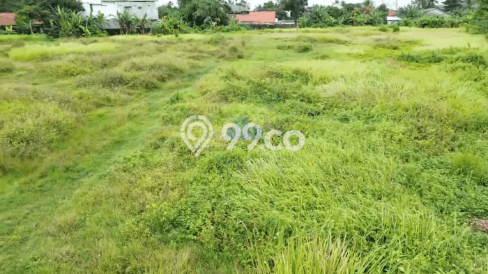Tanah Strategis Dijual di Balaraja Tangerang 13000m2 Tanah Strategis Dijual di Balaraja Tangerang 13000m2