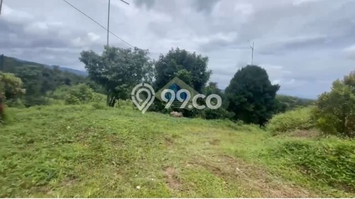 Tanah Kavling untuk Dijual di Jasinga Bogor 128000m2 Tanah Kavling untuk Dijual di Jasinga Bogor 128000m2