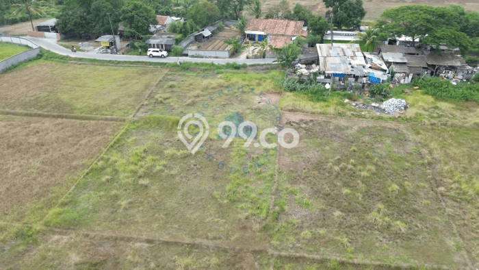 Jarang Ada! Tanah di Jayanti Punya Luas 2950m2 SHM Jarang Ada! Tanah di Jayanti Punya Luas 2950m2 SHM