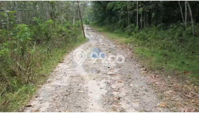 Tanah Komersial Dijual di Rangkasbitung Lebak 32000m2 Tanah Komersial Dijual di Rangkasbitung Lebak 32000m2