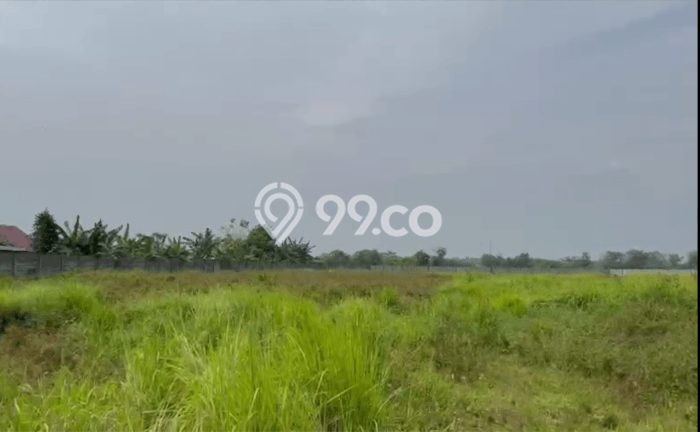 Tanah Dijual Lokasi Walantaka, Serang Luas 16802m2 Legalitas Aman Tanah Dijual Lokasi Walantaka, Serang Luas 16802m2 Legalitas Aman