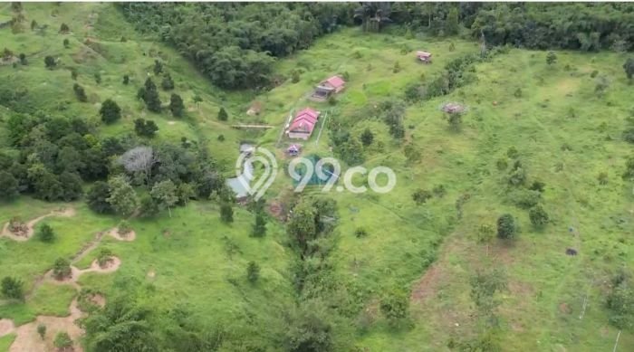 Tanah Kavling untuk Dijual di Jasinga Bogor 128000m2 Tanah Kavling untuk Dijual di Jasinga Bogor 128000m2