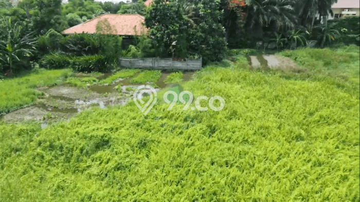Kavling Tanah untuk Dijual di Sangiang Jaya, Tangerang, Luas 5753m2 Kavling Tanah untuk Dijual di Sangiang Jaya, Tangerang, Luas 5753m2