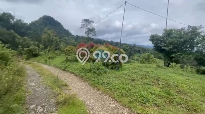 Tanah Kavling untuk Dijual di Jasinga Bogor 128000m2 Tanah Kavling untuk Dijual di Jasinga Bogor 128000m2