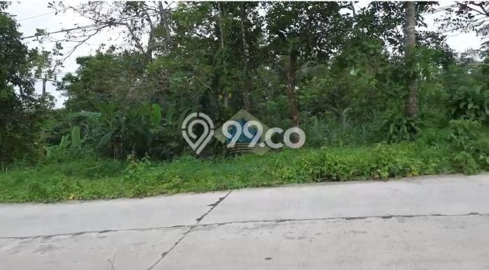 Jarang Ada! Tanah di Cileles Punya Luas 150000m2 SHM Jarang Ada! Tanah di Cileles Punya Luas 150000m2 SHM