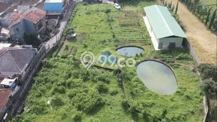 HARGA TERBAIK! Tanah Kawasan Cipanas, Luas 5477m2m², Area Premium HARGA TERBAIK! Tanah Kawasan Cipanas, Luas 5477m2m², Area Premium