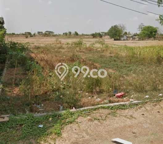 Kavling Tanah di Losarang Dijual Luas 650m2 Legalitas SHM Kavling Tanah di Losarang Dijual Luas 650m2 Legalitas SHM