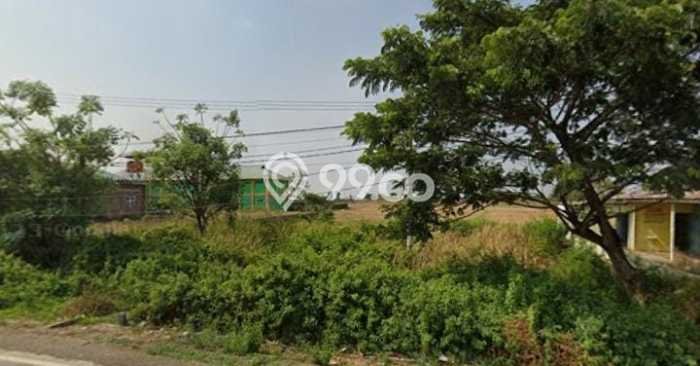 Kavling Tanah di Losarang Dijual Luas 650m2 Legalitas SHM Kavling Tanah di Losarang Dijual Luas 650m2 Legalitas SHM