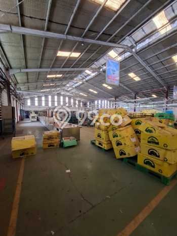 Gudang Bagus LT 42940m2 LB 19066m2 Dijual di Bungursari Purwakarta Gudang Bagus LT 42940m2 LB 19066m2 Dijual di Bungursari Purwakarta