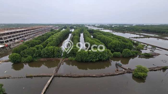 Dijual! Kantor di Pantai Indah Kapuk 2 Jakarta Utara LT 168m2 / LB 1000m2 Kawasan Strategis Dijual! Kantor di Pantai Indah Kapuk 2 Jakarta Utara LT 168m2 / LB 1000m2 Kawasan Strategis