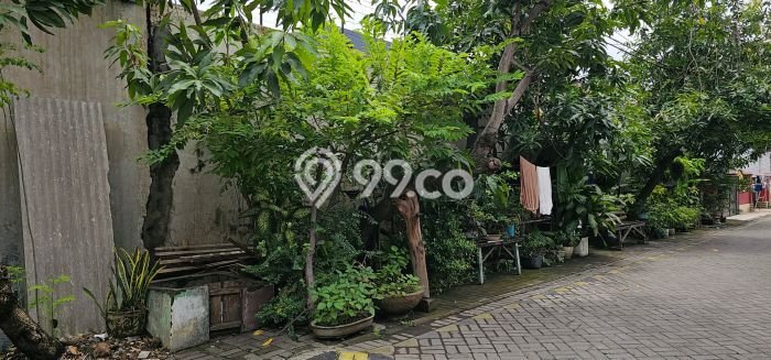 Best Deal Hunian Premium Ideal dan Luas di Tambaksari, Surabaya Best Deal Hunian Premium Ideal dan Luas di Tambaksari, Surabaya