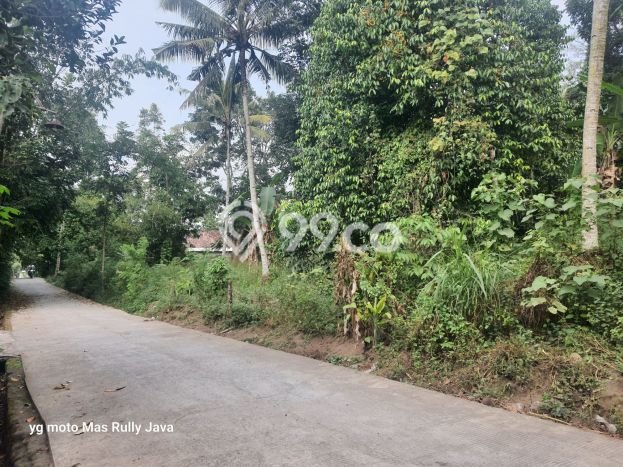 Lahan Kosong Dijual di Cangkringan, Sleman, Luas 1498m2 Area Strategis Lahan Kosong Dijual di Cangkringan, Sleman, Luas 1498m2 Area Strategis