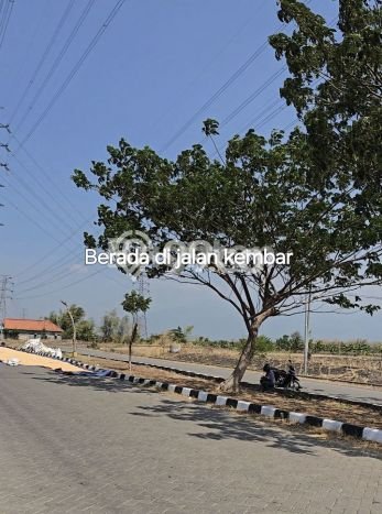 Tanah Kavling untuk Dijual di Rembang Pasuruan 31000m2 Tanah Kavling untuk Dijual di Rembang Pasuruan 31000m2
