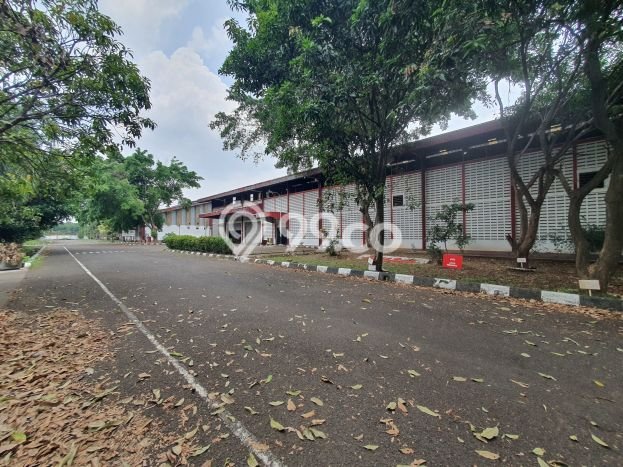 Paling Diincar! Gudang Dijual di Purwakarta Kota Harga Kompetitif Paling Diincar! Gudang Dijual di Purwakarta Kota Harga Kompetitif