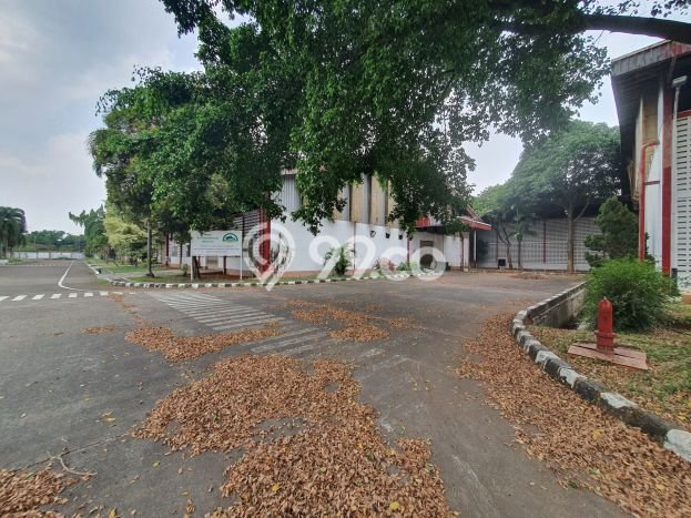 Paling Diincar! Gudang Dijual di Purwakarta Kota Harga Kompetitif Paling Diincar! Gudang Dijual di Purwakarta Kota Harga Kompetitif