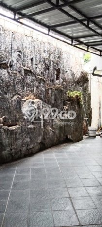 Rumah sewa siap huni 3 Kamar Tidur di Pleburan, Semarang Rumah sewa siap huni 3 Kamar Tidur di Pleburan, Semarang