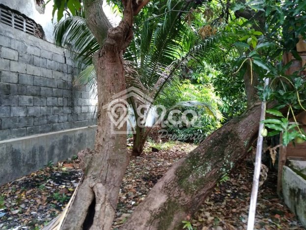 Hunian Mewah LB 500m2 Siap Pakai Desain Elegan di Rejosari, Semarang Hunian Mewah LB 500m2 Siap Pakai Desain Elegan di Rejosari, Semarang