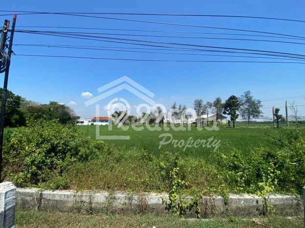 Tanah Kavling di Warureja Dijual dengan Luas 13150m2 Tanah Kavling di Warureja Dijual dengan Luas 13150m2