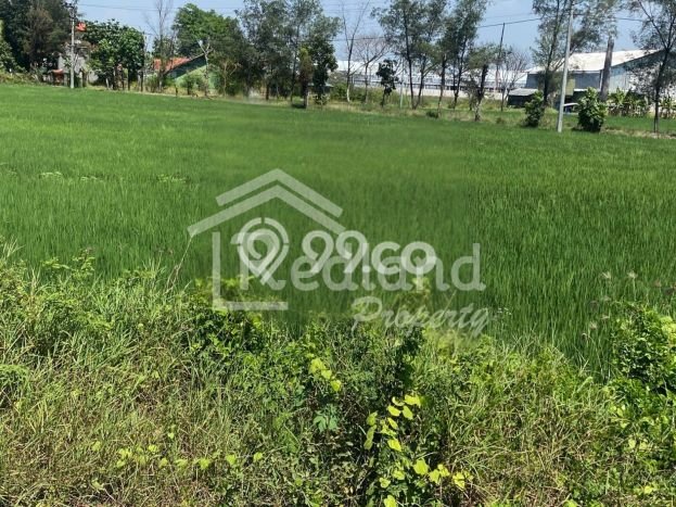 Tanah Kavling di Warureja Dijual dengan Luas 13150m2 Tanah Kavling di Warureja Dijual dengan Luas 13150m2