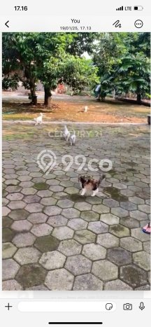 Disewakan Tanah di Bekasi, Luas 1445m2 Area Berkembang Disewakan Tanah di Bekasi, Luas 1445m2 Area Berkembang