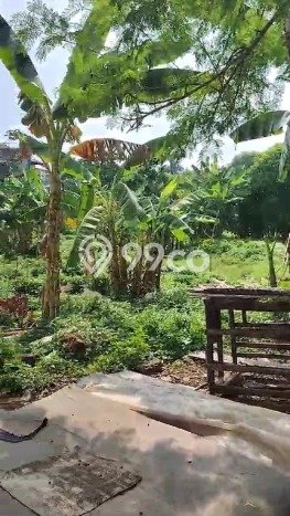 Kavling Tanah Dijual di Jagakarsa Jakarta Selatan Spesifikasi 5930m2 Kavling Tanah Dijual di Jagakarsa Jakarta Selatan Spesifikasi 5930m2