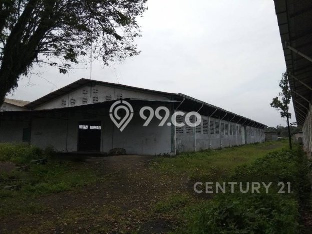 Gudang Dijual di Curug LT 29515m2, LB 12861m2 untuk Investasi Gudang Dijual di Curug LT 29515m2, LB 12861m2 untuk Investasi