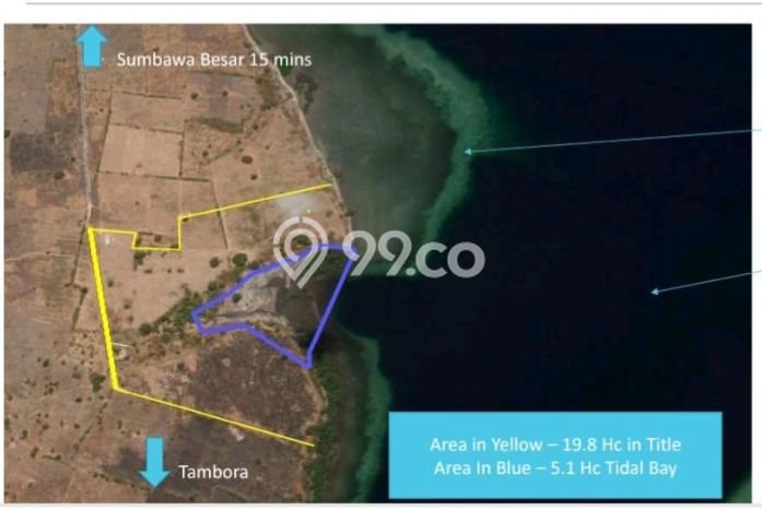 Kavling Tanah di Moyohilir Dijual Luas 198000m2 Legalitas SHM Kavling Tanah di Moyohilir Dijual Luas 198000m2 Legalitas SHM