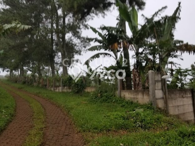 Tanah Area Prospektif di Megamendung, Luas 5405m2m², Akses ke Pusat Kota Tanah Area Prospektif di Megamendung, Luas 5405m2m², Akses ke Pusat Kota