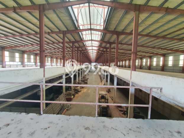 Disewakan Gudang di Tanjung Morawa Deli Serdang LT 16000m2, LB 10000m2 Disewakan Gudang di Tanjung Morawa Deli Serdang LT 16000m2, LB 10000m2