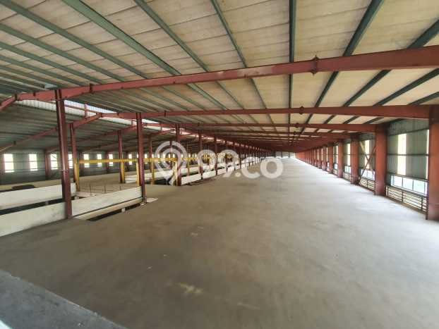 Disewakan Gudang di Tanjung Morawa Deli Serdang LT 16000m2, LB 10000m2 Disewakan Gudang di Tanjung Morawa Deli Serdang LT 16000m2, LB 10000m2