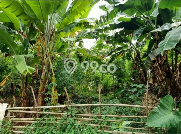 Jual Tanah Kawasan Karawang Timur, Luas 627m², Lokasi Strategis Jual Tanah Kawasan Karawang Timur, Luas 627m², Lokasi Strategis
