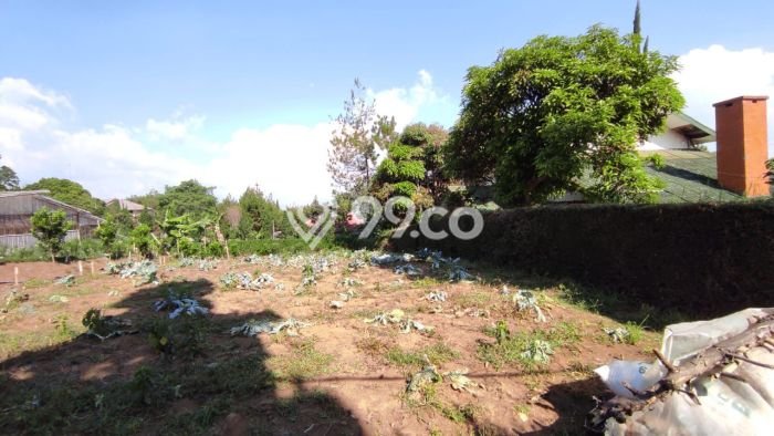 Kavling Cocok Untuk Rumah Kebun, Lembang Asri, Lembang, Bandung Kavling Cocok Untuk Rumah Kebun, Lembang Asri, Lembang, Bandung