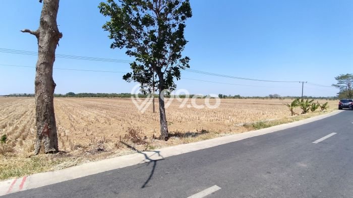 Tanah Strategis Dijual di Kertajati Majalengka 4660m2 Tanah Strategis Dijual di Kertajati Majalengka 4660m2
