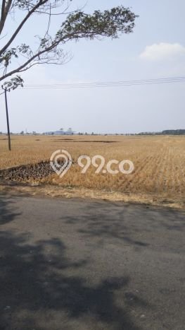 Tanah Strategis Dijual di Kertajati Majalengka 4660m2 Tanah Strategis Dijual di Kertajati Majalengka 4660m2
