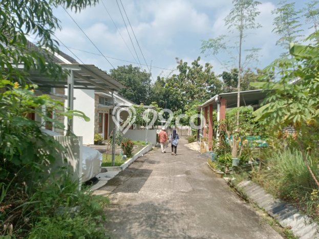 Rumah Sederhana Dijual Lokasi Kasihan 2 Kamar dengan Luas Tanah 80m2 Rumah Sederhana Dijual Lokasi Kasihan 2 Kamar dengan Luas Tanah 80m2
