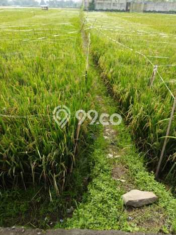 Dijual Tanah Lokasi Strategis di Dayeuhkolot, Luas 75000m2m², Akses Dayeuhkolot, Bandung, Bandung Dijual Tanah Lokasi Strategis di Dayeuhkolot, Luas 75000m2m², Akses Dayeuhkolot, Bandung, Bandung