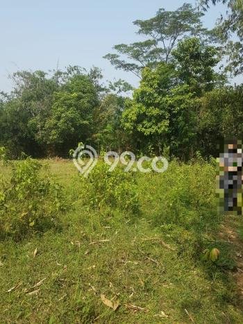 Lahan untuk Dijual Lokasi Bogor Timur, Bogor Luas 12000m2 - Lahan untuk Dijual Lokasi Bogor Timur, Bogor Luas 12000m2 -
