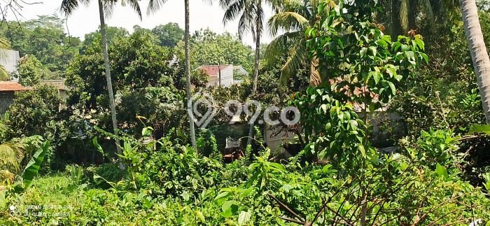 Tanah Dijual Lokasi Setu, Tangerang Selatan dengan Luas Tanah 6000m2 dan Status SHM Tanah Dijual Lokasi Setu, Tangerang Selatan dengan Luas Tanah 6000m2 dan Status SHM