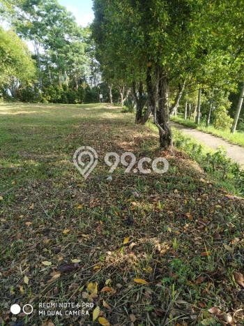 Tanah Kavling di Cijeruk Dijual dengan Luas 4172m2 Tanah Kavling di Cijeruk Dijual dengan Luas 4172m2