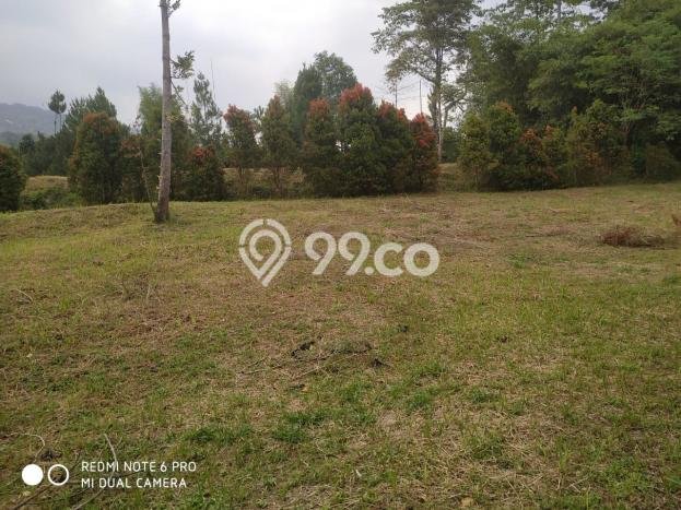 Tanah Kavling di Cijeruk Dijual dengan Luas 4172m2 Tanah Kavling di Cijeruk Dijual dengan Luas 4172m2