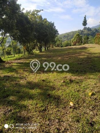 Tanah Kavling di Cijeruk Dijual dengan Luas 4172m2 Tanah Kavling di Cijeruk Dijual dengan Luas 4172m2