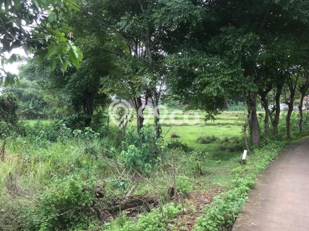 Tanah Kavling Dijual di Cikarang, Bekasi dengan Luas Tanah 3722m2 Tanah Kavling Dijual di Cikarang, Bekasi dengan Luas Tanah 3722m2